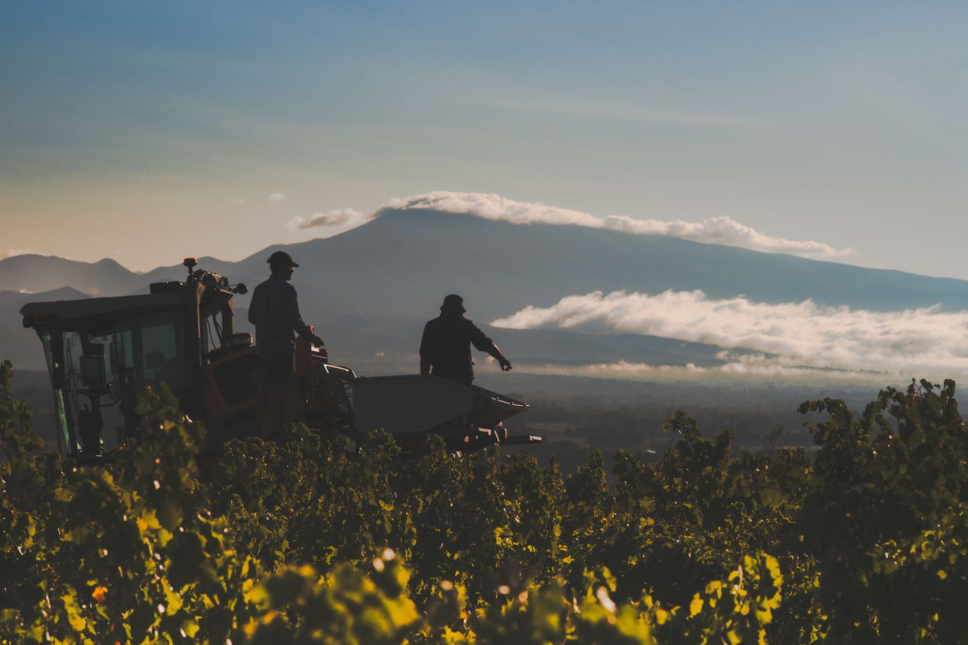 Deux silhouettes sur un engin au-dessus des vignes, au lever du jour, une montagne sous les nuages à l’horizon