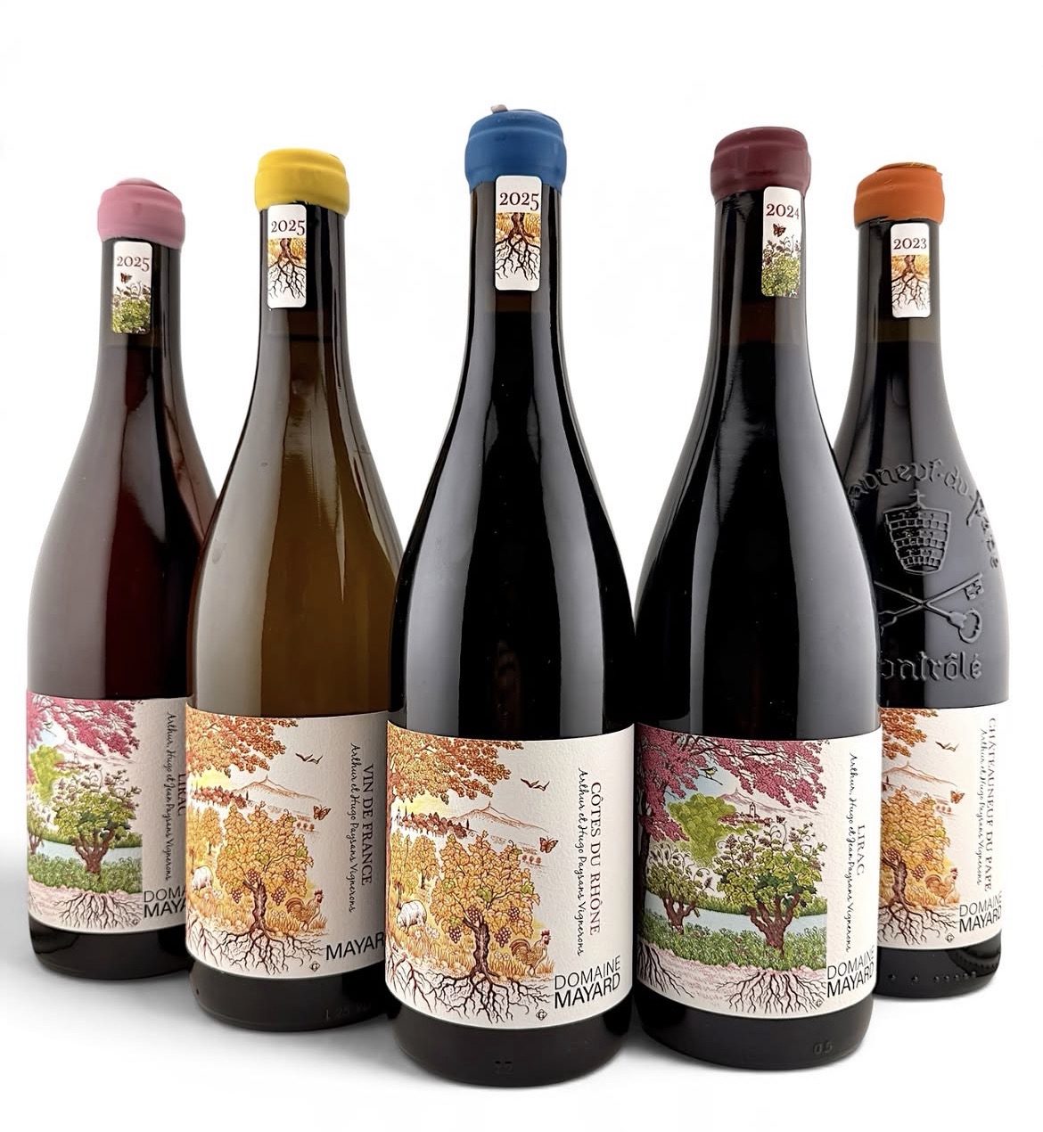 Nos cinq vins alignés, de gauche à droite : Lirac rosé 2025 (cire rose), Vin de France blanc 2025 (cire jaune), Côtes-du-Rhône 2025 (cire bleue), Lirac rouge 2024 (cire bordeaux) et Châteauneuf-du-Pape rouge 2023 (cire orange). Étiquettes peintes à la main, signées « Arthur, Hugo & Jean, Paysans Vignerons ».